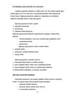 Prakses atskaite 'Grāmatvedības prakses atskaite', 9.