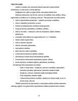 Prakses atskaite 'Grāmatvedības prakses atskaite', 36.