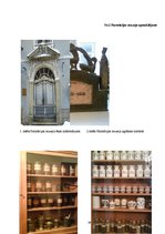 Referāts 'Farmācijas vēsturiskā attīstība Latvijā, Zemgalē un Bauskas novadā', 38.