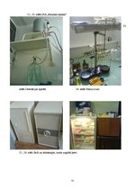 Referāts 'Farmācijas vēsturiskā attīstība Latvijā, Zemgalē un Bauskas novadā', 51.