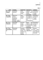 Diplomdarbs 'Krāpšanas kvalifikācijas problemātika', 75.