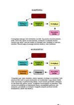 Konspekts 'Ārstniecības augi - kaķpēdiņas, kliņģerītes', 1.
