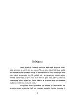 Referāts 'Trešā atmoda', 8.