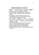 Referāts 'Preču pārvietošanas ierobežojumi', 12.