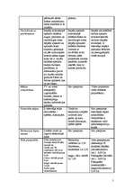 Konspekts 'Muzeju prakse', 5.