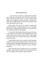 Referāts 'Politikas kultūra', 7.