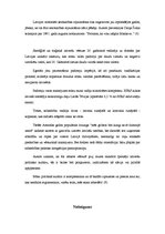 Referāts 'Politikas kultūra', 11.