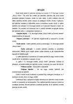 Referāts 'Īpašvārdu tulkošana un atveide J.K.Roulingas romānā "Harijs Poters"', 3.