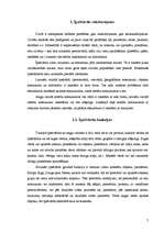 Referāts 'Īpašvārdu tulkošana un atveide J.K.Roulingas romānā "Harijs Poters"', 7.