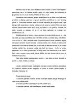 Referāts 'Īpašvārdu tulkošana un atveide J.K.Roulingas romānā "Harijs Poters"', 13.