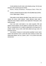 Referāts 'Īpašvārdu tulkošana un atveide J.K.Roulingas romānā "Harijs Poters"', 15.