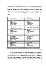 Referāts 'Īpašvārdu tulkošana un atveide J.K.Roulingas romānā "Harijs Poters"', 31.