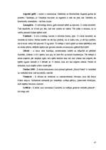 Referāts 'Īpašvārdu tulkošana un atveide J.K.Roulingas romānā "Harijs Poters"', 47.