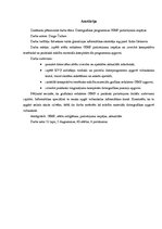 Referāts 'Datorgrafikas programmas GIMP pielietojuma iespējas', 2.