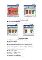 Referāts 'Datorgrafikas programmas GIMP pielietojuma iespējas', 16.