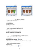 Referāts 'Datorgrafikas programmas GIMP pielietojuma iespējas', 17.