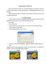 Referāts 'Datorgrafikas programmas GIMP pielietojuma iespējas', 19.