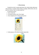 Referāts 'Datorgrafikas programmas GIMP pielietojuma iespējas', 23.