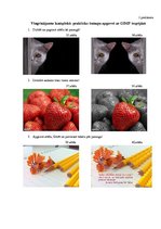 Referāts 'Datorgrafikas programmas GIMP pielietojuma iespējas', 28.