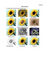 Referāts 'Datorgrafikas programmas GIMP pielietojuma iespējas', 31.