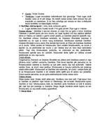 Konspekts 'Pārskats par lugu "Minhauzena precības"', 2.