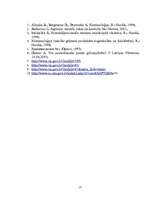 Referāts 'Vardarbīgā noziedzība', 17.