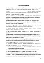 Referāts 'Jauniešu brīvprātīgā darba iespējas Valmieras pilsētā', 31.