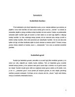 Konspekts 'Sekundārie faktori basketbolā', 6.