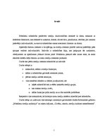 Referāts 'Masu saziņas informācijas sistēma', 2.