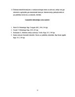 Referāts 'Masu saziņas informācijas sistēma', 12.