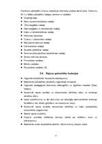 Referāts 'Pašvaldību vispārējs raksturojums', 11.