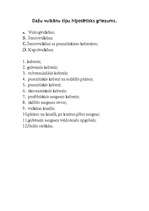 Referāts 'Vulkāni', 6.