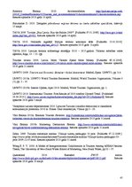 Diplomdarbs 'Ekonomiskās lejupslīdes ietekme uz tūrisma nozari Baltijas valstīs', 45.