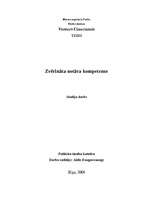 Konspekts 'Zvērinātu notāru kompetence', 1.