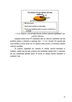 Diplomdarbs 'Pusaudžu radošums mājturības stundās', 60.