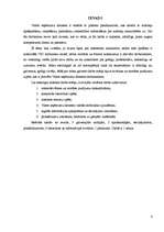 Referāts 'Valsts ieņēmumu dienesta darbinieku profesionālā ētika', 6.