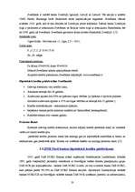 Konspekts 'Hipotekārā kredīta saņemšanas noteikumi un iespējas Ogres komercbankās', 20.