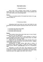 Referāts 'Manas kļūdas latviešu valodā', 5.