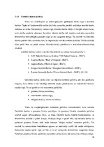 Diplomdarbs 'Tehniskās un fundamentālās analīzes izmantošana valūtas kursa prognozēšanā', 36.