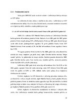 Diplomdarbs 'Tehniskās un fundamentālās analīzes izmantošana valūtas kursa prognozēšanā', 61.