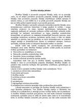 Referāts 'Drošības līdzekļi, veidi, pamatojums', 4.