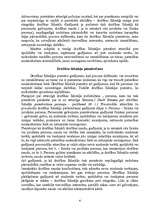 Referāts 'Drošības līdzekļi, veidi, pamatojums', 6.