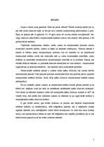 Referāts 'Starptautiskās sistēmas', 2.