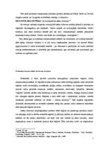 Referāts 'Starptautiskās sistēmas', 7.