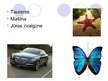 Prezentācija 'Ģeometriskie pārveidojumi ikdienas dzīvē', 9.