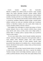 Referāts 'Lietišķā māksla', 6.