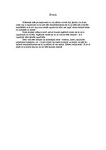 Referāts 'Izgudrojumi', 4.