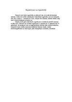 Referāts 'Izgudrojumi', 5.