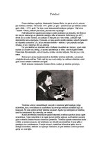 Referāts 'Izgudrojumi', 8.