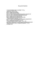 Referāts 'Izgudrojumi', 13.